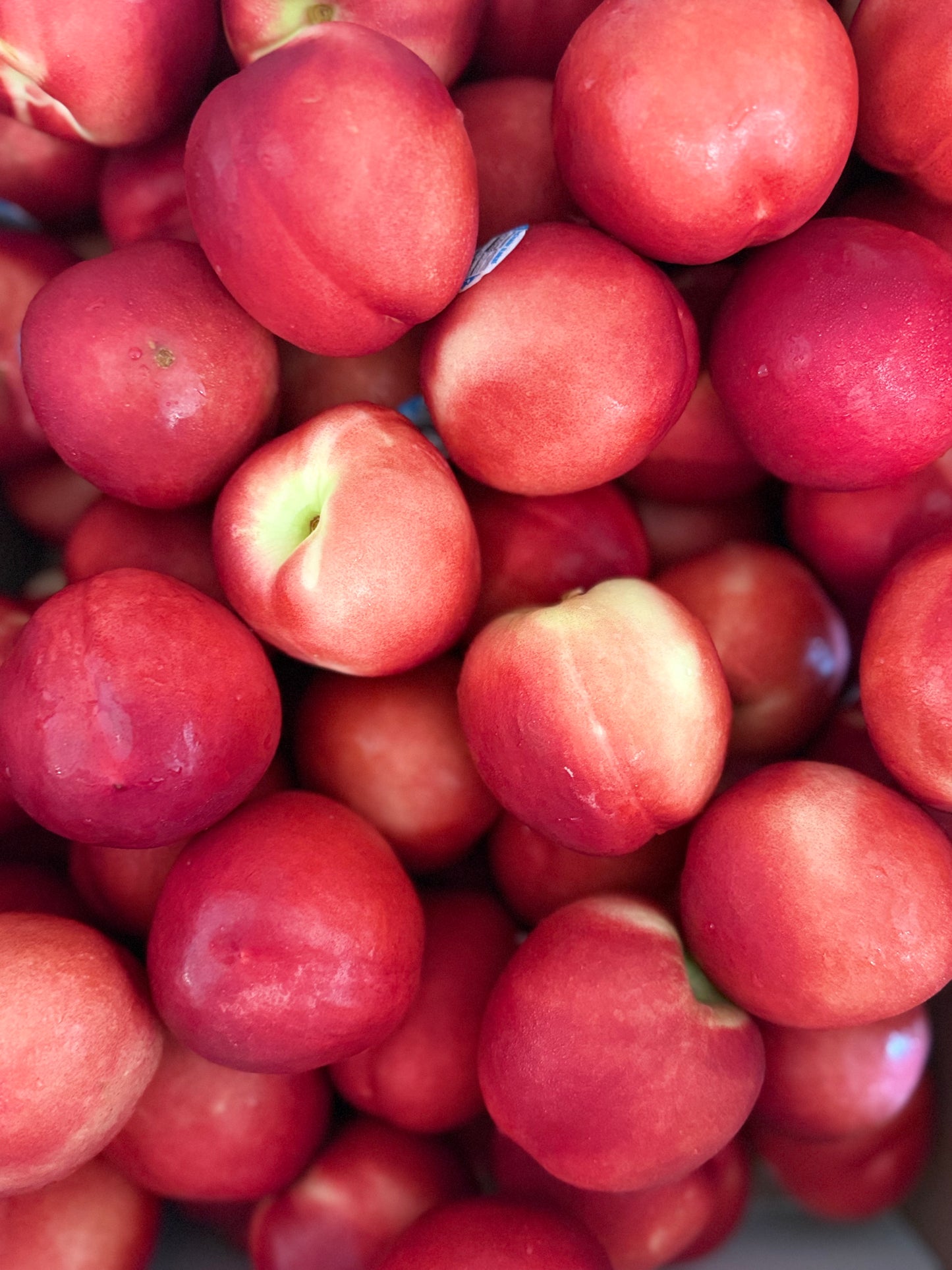 White Nectarine 3lbs